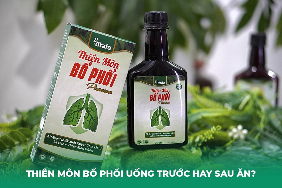 Thiên Môn Bổ Phổi Uống Trước Hay Sau Ăn? Hướng Dẫn Sử Dụng Đúng Cách