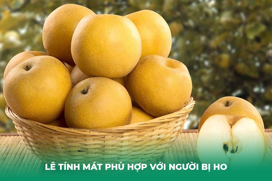 Lê tính mát phù hợp với người bị ho