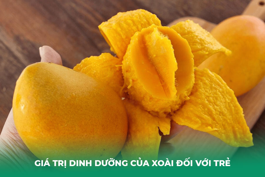Giá Trị Dinh Dưỡng Của Xoài Đối Với Trẻ