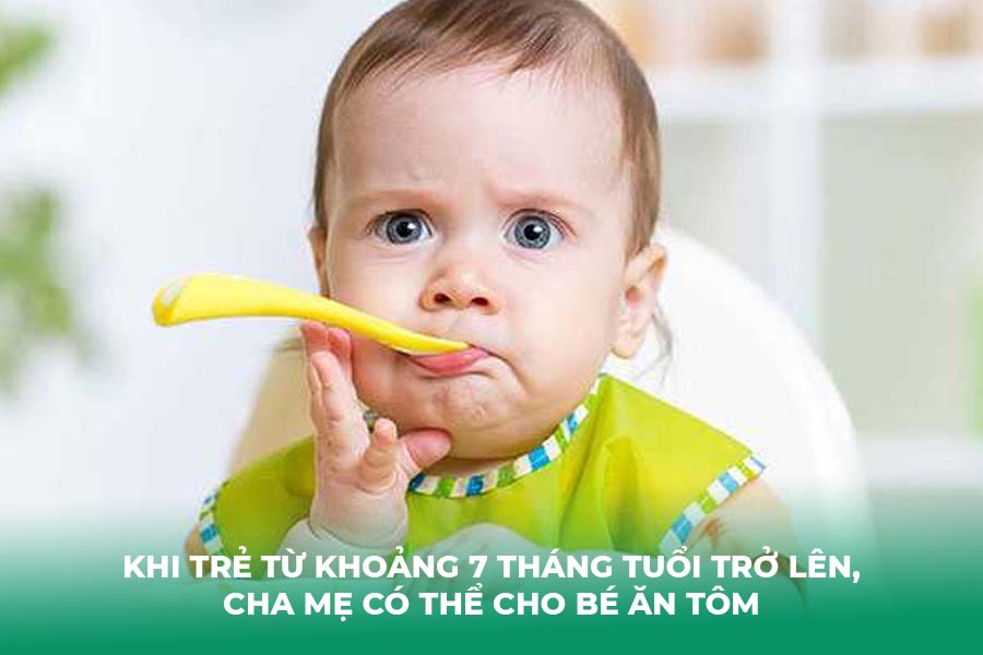 Khi trẻ từ khoảng 7 tháng tuổi trở lên, cha mẹ có thể cho bé ăn tôm