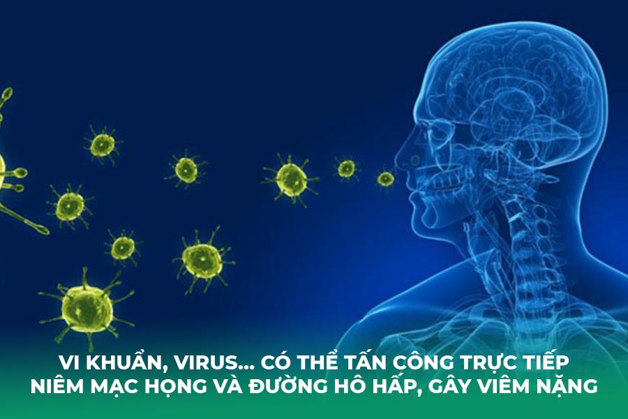 Vi khuẩn, virus… có thể tấn công trực tiếp niêm mạc họng và đường hô hấp, gây viêm nặng