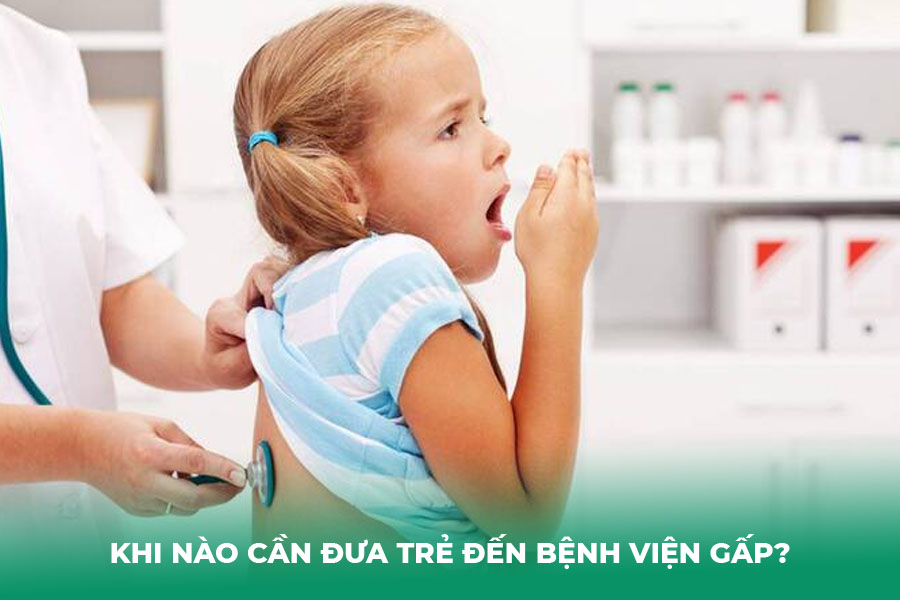Dấu Hiệu “Cờ Đỏ”: Khi Nào Cần Đưa Trẻ Đến Bệnh Viện Gấp?