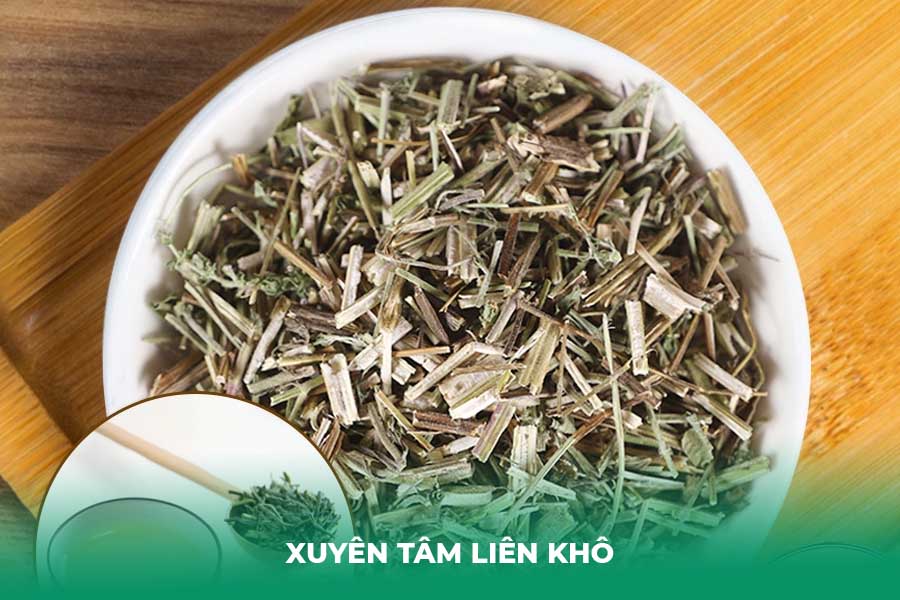 Hướng Dẫn Cách Dùng Xuyên Tâm Liên An Toàn và Hiệu Quả